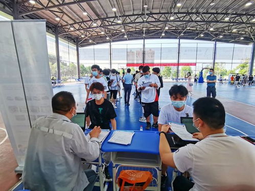 疫情影响下蔡甸职校生 从校门到厂门无缝对接，职业中介服务助力就业关