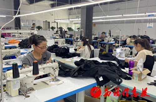 城固莲花街道服装厂 家门口就业稳岗 职业中介服务添保障