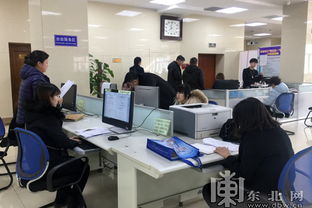 黑龙江优化发展环境，职业中介服务释放发展活力